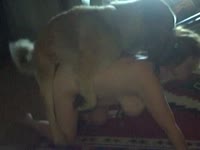 Dog hard pounding a busty petite beastie gal